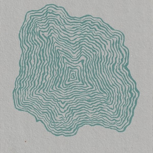 tree ring. - 8&quot; x 10&quot; screen print