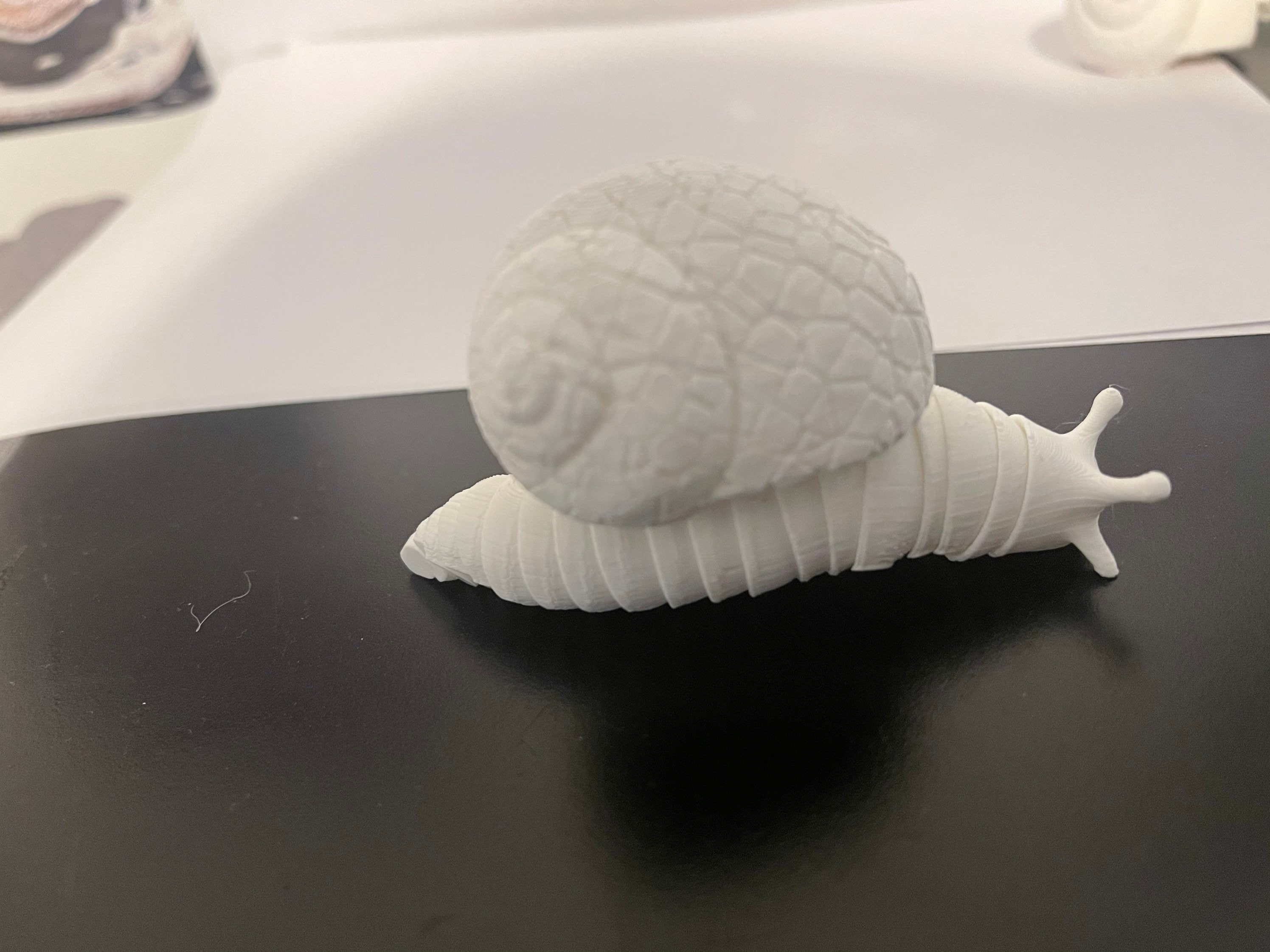 Desk Slug 3D Printed Slinky Slug Desk Accessory Articulated Slug - Etsy Canada