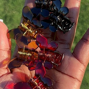 Peut inclure: Un ensemble de cinq pinces à cheveux en forme de papillon. Deux pinces sont noires et trois pinces sont un mélange de brun et de rouge.