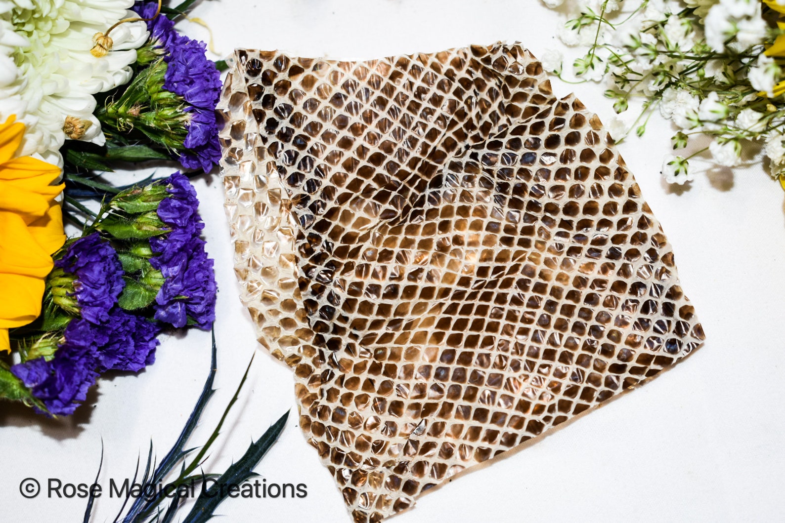 Snake Magick Oil Snake Skin Oil Snake Body Oil Serpent Etsy