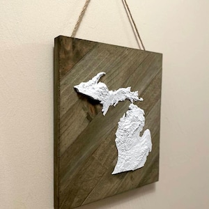 Carte topographique/terrain 3D du Michigan