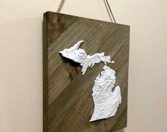 3D-terrein/topografische kaart van Michigan