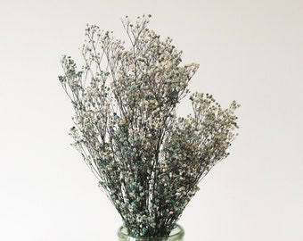 Blue jug vase with bulk gypsophila dried white flowers Stock Photo by  Frostroomhead