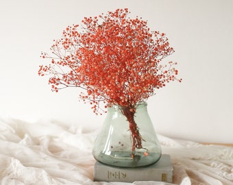 Burnt Orange Preserved Christmas Gift Gypsophila /Baby's Breath /Orange Dried Flower/ Dried Flower Wholesale / Home Decoration Flower