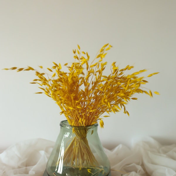 Mustard Yellow Vase Etsy