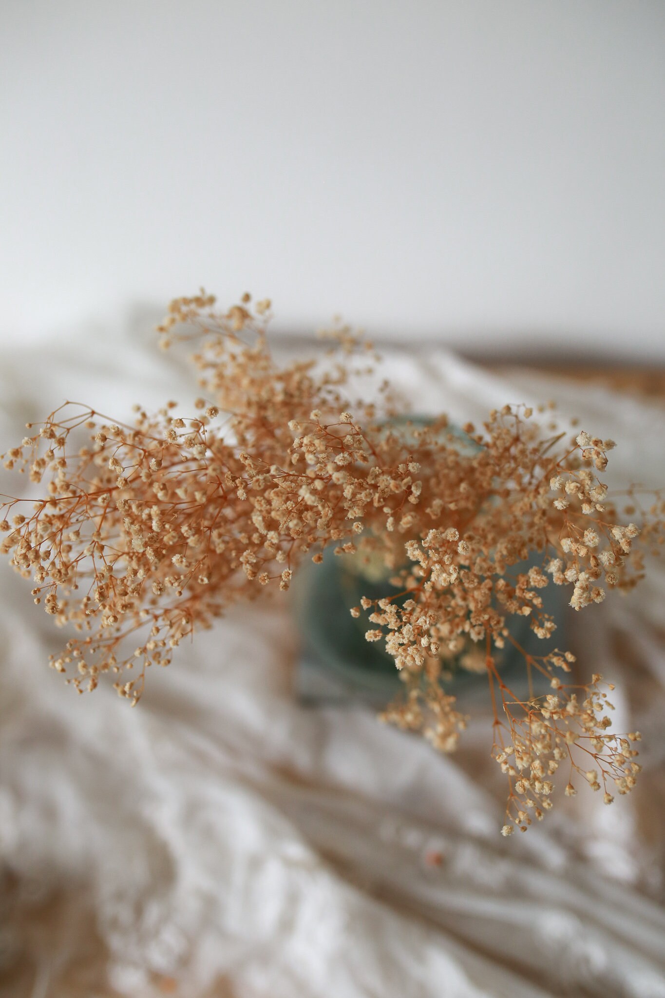 Preserved Gypsophila / Baby's Breath / Cream Dried Flower/ Dried Flower Wholesale / Home