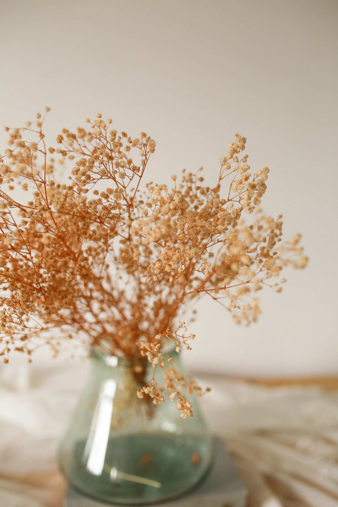 Preserved Gypsophila / Baby's Breath / Cream Dried Flower/ Dried Flower Wholesale / Home