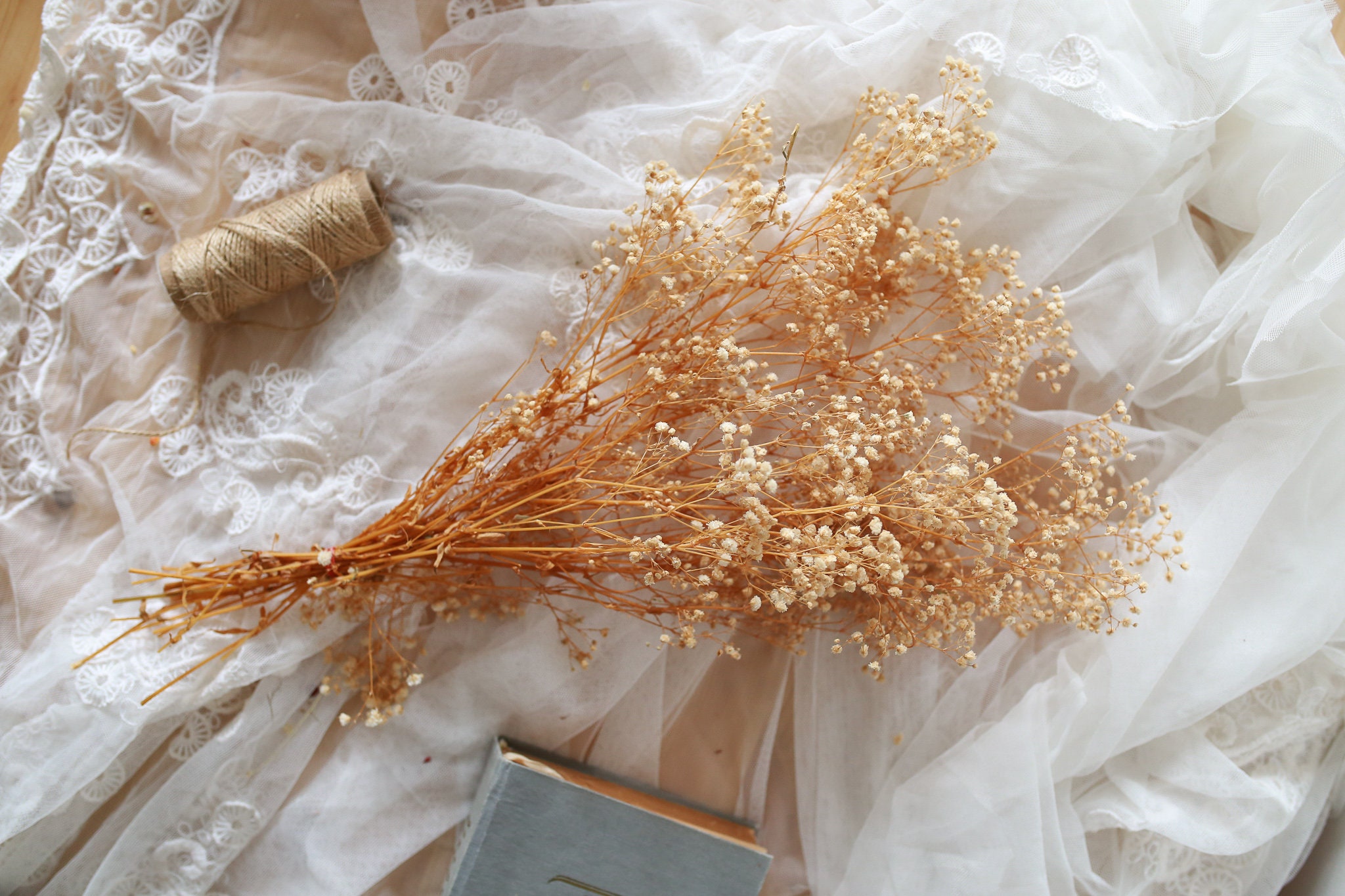 Preserved Gypsophila / Baby's Breath / Cream Dried Flower/ Dried Flower