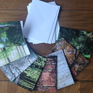 Cartes blanches de note de woodland