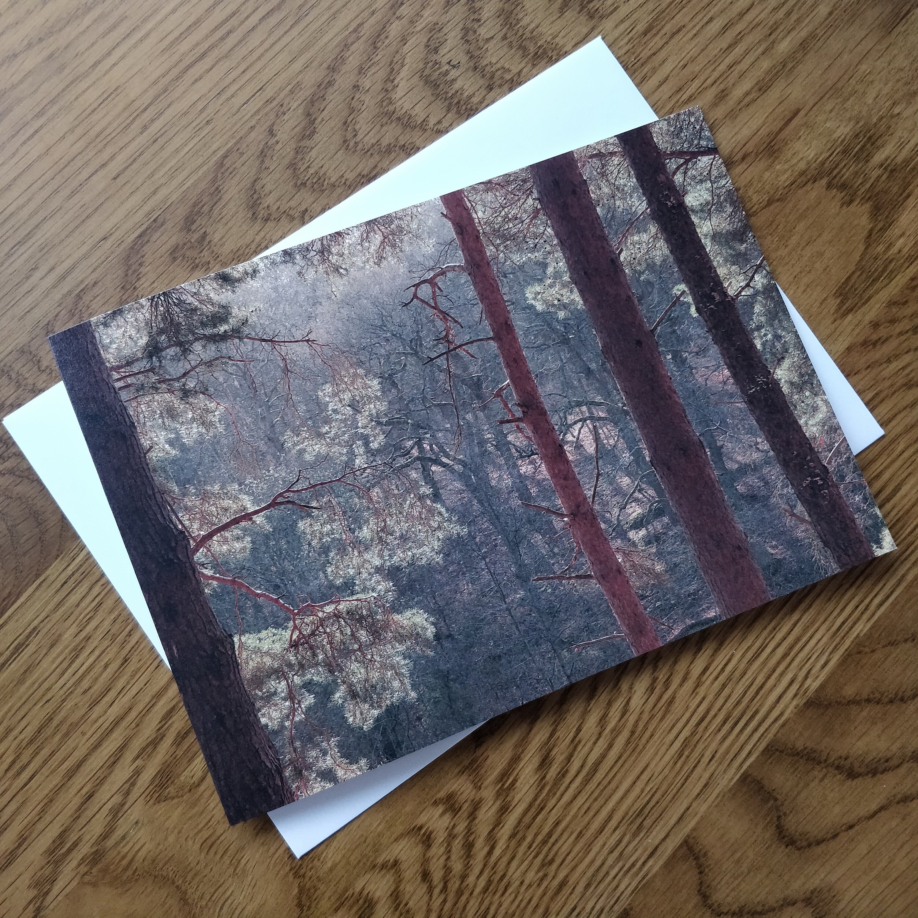 A5 Blank Greeting Card Etsy