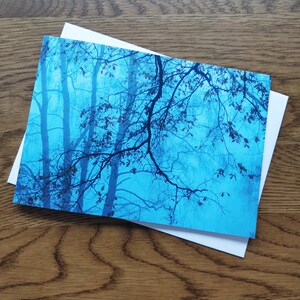 Può includere: Una foto blu e nera di rami di alberi spogli contro un cielo blu. I rami sono in silhouette contro il cielo, creando un'immagine suggestiva e atmosferica.