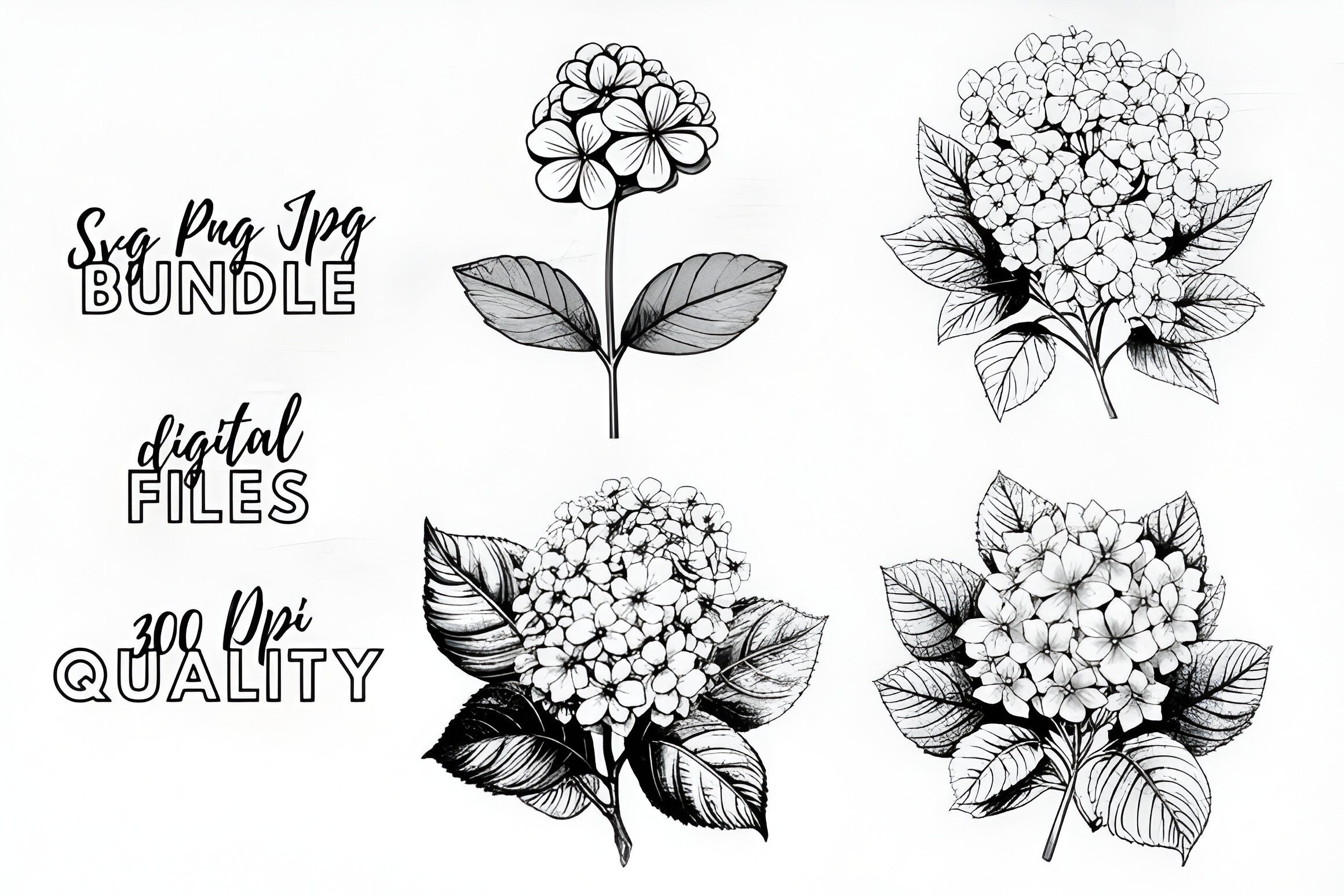 Hydrangea SVG Bundle - Clipart PNG Flowers - Blossom Your Craft ...