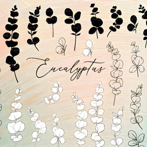 Eucalyptus SVG Bundle - 45 Eucalyptus Plant Svg Files For Cricut