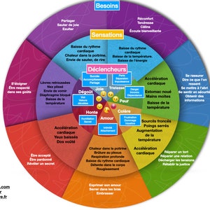 The Wheel of Emotions and Needs