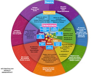 La roue des émotions et des besoins