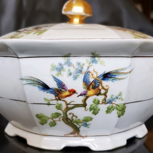Rare! Beautiful Oval Covered 357 by VICTORIA (CZECH) Duel Handled Bowl