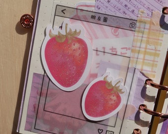 3 PCS Strawberry Sticker (Matte, 2 Sizes): Cute Stickers for Planners, Bullet Journals, Scrapbooking