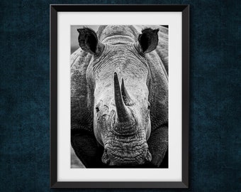 White Rhino Portrait, Namibia, South Western Africa. Black and white wildlife photography print.