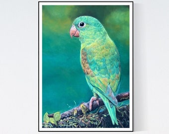 Parrot Art Print - Parrot Gifts - Parrot Portrait - Parrot Print - Parrot  - Parrot Wall Art - Parrot Art - Parrot Wall Decor - Green Parrot