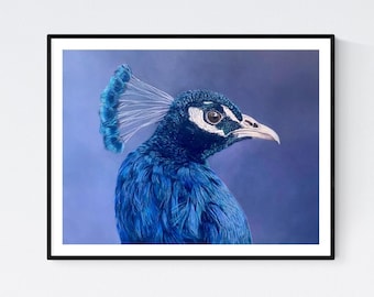 Peacock Art - Peacock Print - Peacock Art Print - Peacock Wall Decor - Peacock Gifts - Peacock Wall Art - Peacock Drawing - Peacock Picture
