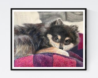 Arte de Pomerania - Impresión de Pomerania - Arte mural de Pomerania - Decoración de Pomerania - Imagen de Pomerania - Dibujo de Pomerania - Regalos de Pomerania