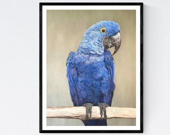 Arte de guacamayo - Impresión de guacamayo - Arte de guacamayo azul - Decoración de pared de guacamayo - Arte de pared de guacamayo - Guacamayo jacinto - Arte de aves - Impresión de aves - Regalos de aves - Guacamayo
