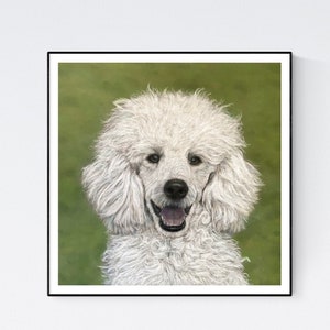 Poodle Print - White Poodle - Poodle Art Print - Poodle Gifts - Poodle Art - Poodle Wall Art - French Poodle - Poodle Decor   Poodle Drawing