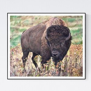 Bison Print - Bison Art Print -Bison Art - Bison Wall Art - Bison Drawing Bison Wall Decor - American Bison - Bison Poster - Bison Print