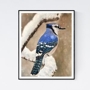 Blue Jay Print - Blue Jay in Snow - Blue Jay Art - Blue Jay Gifts - Blue Jay Wall Art - Blue Jay Giclee Print - Blue Jay- Blue Jay Artwork