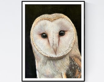 Barn Owl Print - Barn Owl Art - Owl Wall Art - Owl Gifts - Owl Portrait - Owl Artwork - Owl Giclee Print - Owl Print - Owl Wall Art