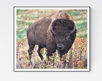 Bison Print - Bison Art Print -Bison Art - Bison Wall Art - Bison Drawing Bison Wall Decor - American Bison - Bison Poster - Bison Print