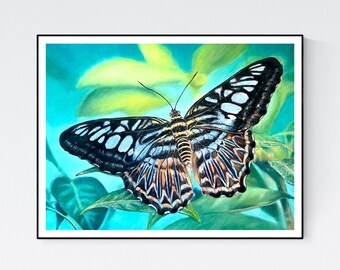 Impresión de mariposa - Arte de mariposa - Regalos de mariposa - Imagen de mariposa - Arte de pared de mariposa - Decoración de pared de mariposa - Mariposa turquesa