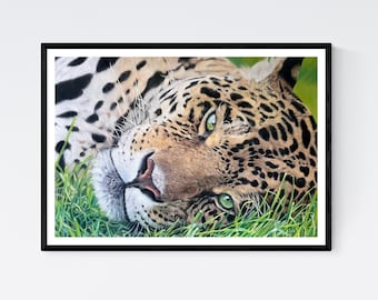 Arte de jaguar - Impresión de jaguar - Impresión de jaguar - Decoración de pared de jaguar - Arte de pared de jaguar - Obras de arte de jaguar - Regalos de jaguar - Arte de vida silvestre