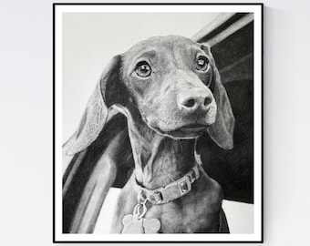 Impresión Dachshund - Arte Dachshund - Arte de pared Dachshund - Decoración Dachshund - Imagen Dachshund - Dibujo Dachshund - Impresión de arte Dachshund
