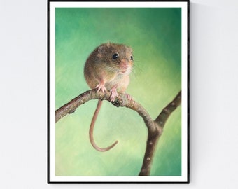 Mouse Art Print- Mouse Gifts - Mouse Picture - Mouse Art - Mouse Giclee Print - Harvest Mouse - Mouse Print - Mouse Wall Art - Mouse