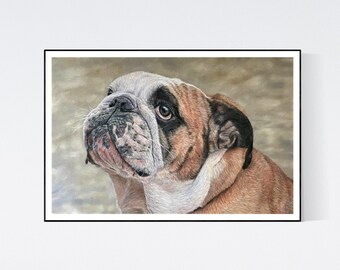 English Bulldog Print - Bulldog Lover Gifts - Bulldog Wall Art - Bulldog Art Print - Bulldog Portrait - Bulldog Gifts - English Bulldog Art