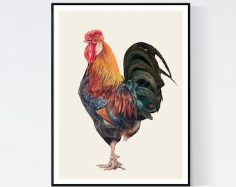 Arte del gallo - Impresión del gallo - Arte de la pared del gallo - Decoración de la pared del gallo - Regalos del gallo - Decoración de la granja - Decoración de la cocina - Impresión del arte del gallo