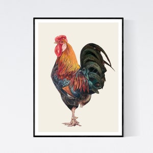 Rooster Art - Rooster Print - Rooster Wall Art - Rooster Wall Decor - Rooster Gifts - Farmhouse Decor - Kitchen Decor - Rooster Art Print