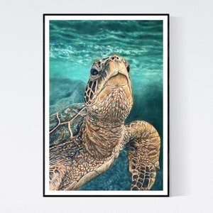 Sea Turtle Print - Sea Turtle Gifts - Turtle Art - Turtle Print - Turtle Wall Art - Sea Turtle Art Print - Sea Turtle Art - Ocean Wall Art