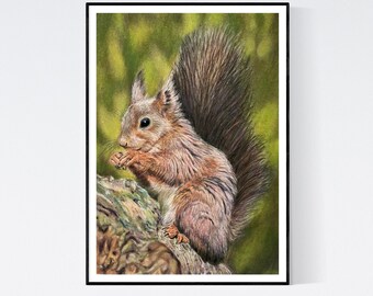 Red Squirrel Print - Red Squirrel Art - Squirrel Gifts - Squirrel Print  - Squirrel Wall Art - Squirrel Art Print - Squirrel Giclee Print