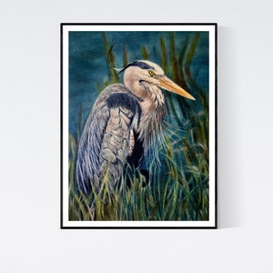 Great Blue Heron Print - Heron Gifts - Heron Wall Art - Blue Heron Portrait - Bird Portrait - Original Art - Blue Heron Art