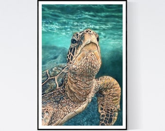 Sea Turtle Print - Sea Turtle Gifts - Turtle Art - Turtle Print - Turtle Wall Art - Sea Turtle Art Print - Sea Turtle Art - Ocean Wall Art