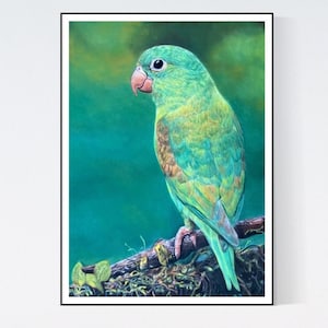 Parrot Art Print - Parrot Gifts - Parrot Portrait - Parrot Print - Parrot  - Parrot Wall Art - Parrot Art - Parrot Wall Decor - Green Parrot