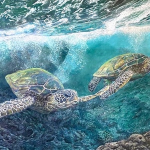 May include: Two green sea turtles swim through turquoise water with bubbles rising to the surface. The turtles are swimming over a rocky seabed.