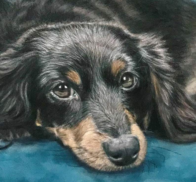 Puede incluir: Retrato detallado de un perro salchicha de pelo largo. El perro tiene pelaje negro con marcas marrones alrededor de los ojos y el hocico. Los ojos del perro son marrones. Est&aacute; acostado sobre una superficie azul.