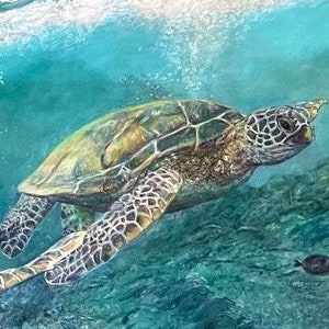 May include: A green sea turtle swims through turquoise water with a coral reef in the background.
