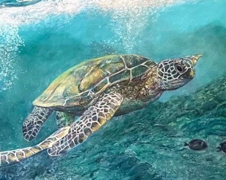May include: A green sea turtle swims through turquoise water with a coral reef in the background.