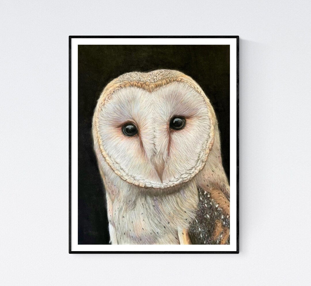 Barn Owl Print Barn Owl Art Owl Wall Art Owl Gifts Owl - Etsy