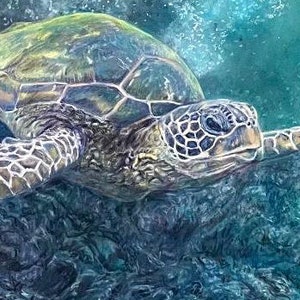May include: A green sea turtle swims in blue water with bubbles. The turtle has a green shell with brown markings and a light brown head. The turtle's eye is visible.