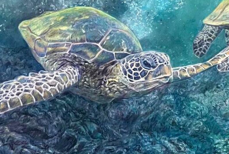 May include: A green sea turtle swims in blue water with bubbles. The turtle has a green shell with brown markings and a light brown head. The turtle's eye is visible.